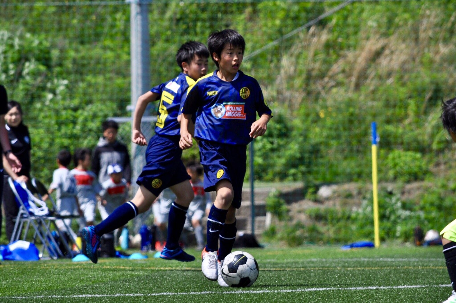 cropped-4-1.jpg