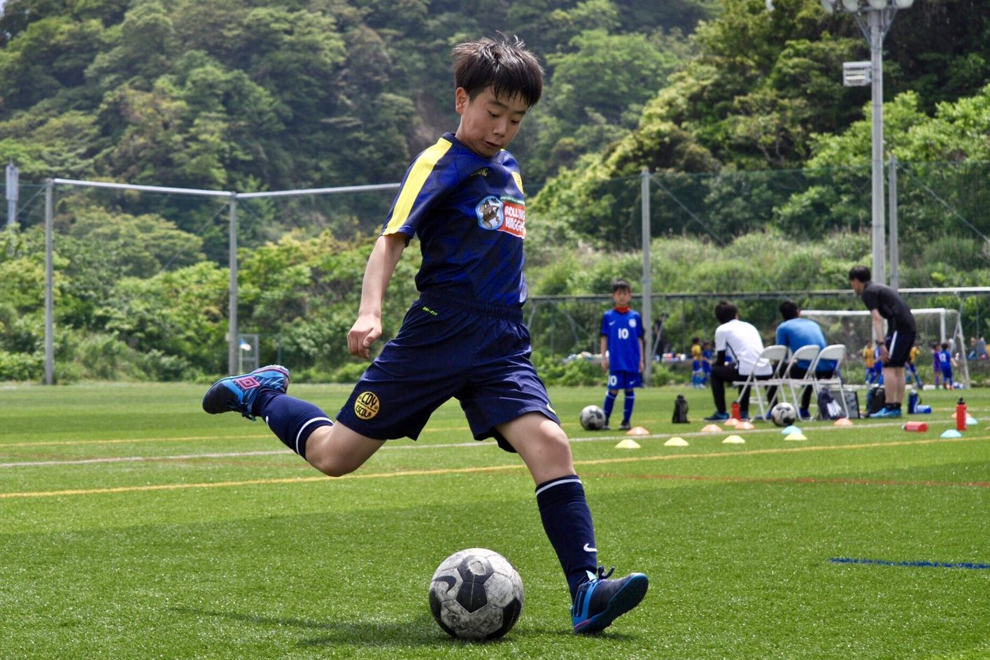 cropped-S__82411525-1.jpg
