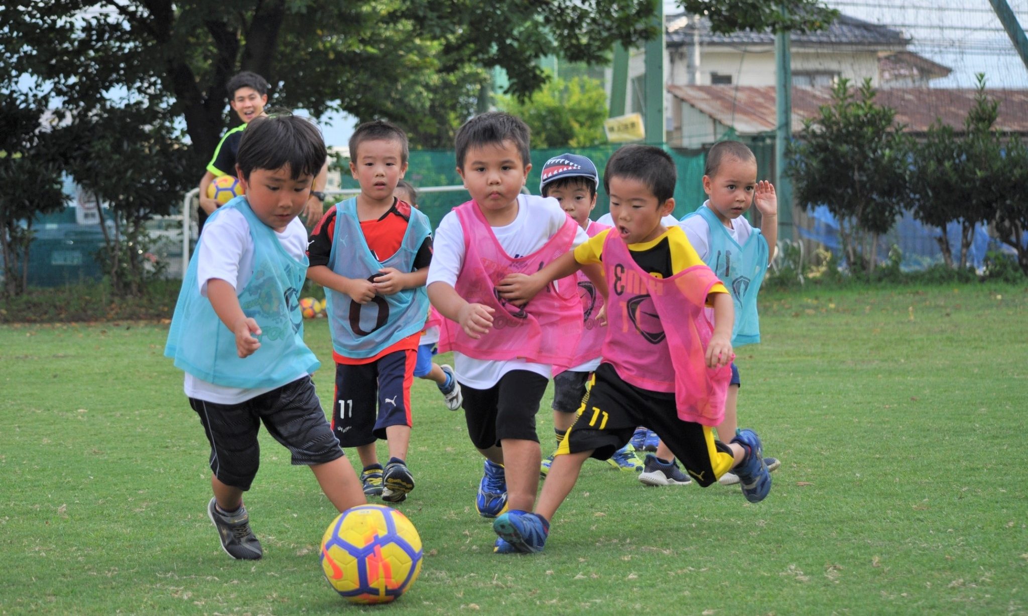 cropped-E-FOOT20180801_180911_0004-1.jpg
