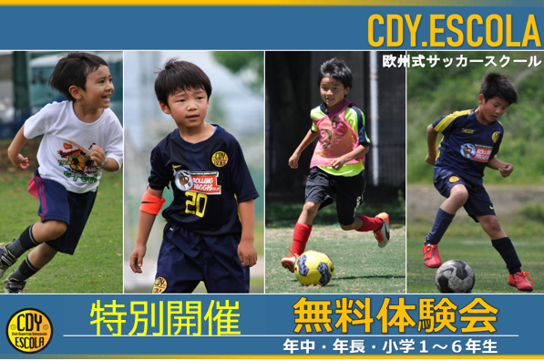 cropped-c8856789ec11ab8b1013037cef6929f9.png